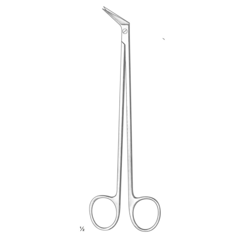 Potts - Smith Vascular Scissors